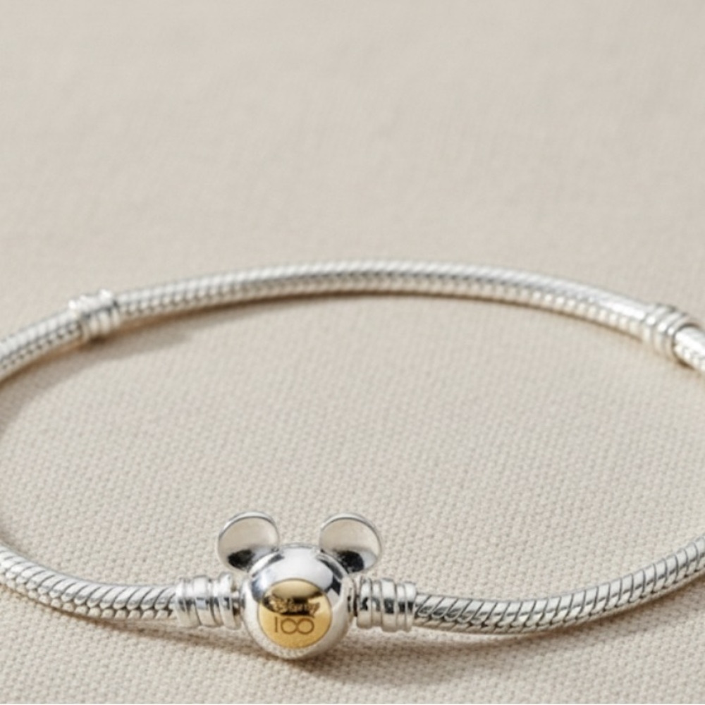 Silver and Gold Charm Snake Chain Bracelet - Women Jewelry